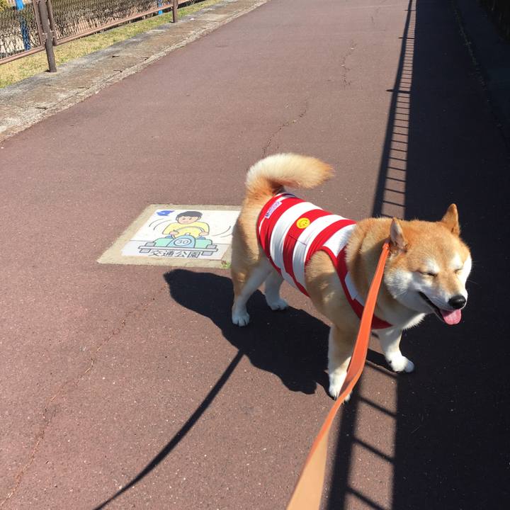 E102c1a1 50f4 4d06 b842 b7ddc7c88628 1552451635348