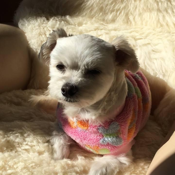 E102d023 f898 4deb 93fb 78e939d5a770 1512523078253