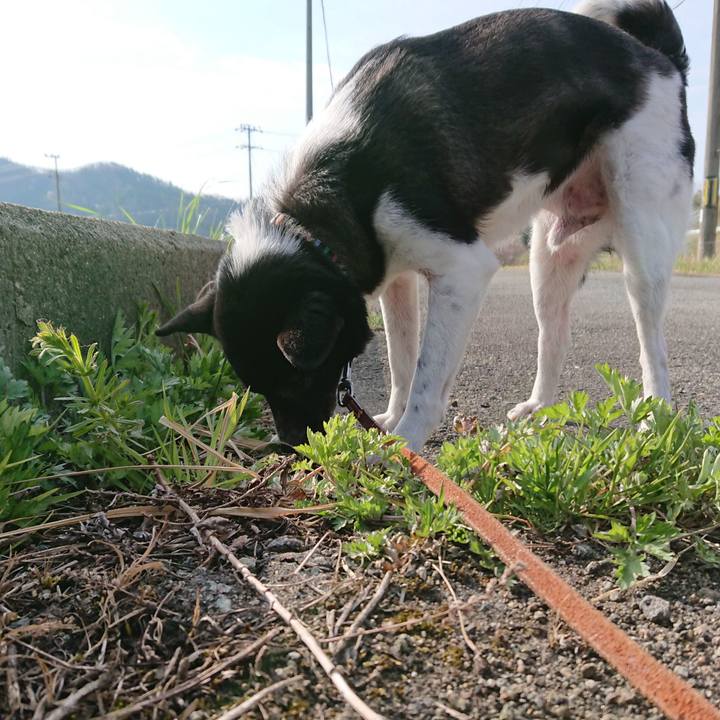 E102fff0 18bd 4f6c 8c03 e7092c422c22 1586615443930