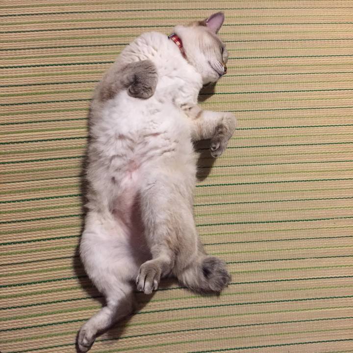 E103185a cc2c 422a a634 ccfb5e57c1a9 1532255158944