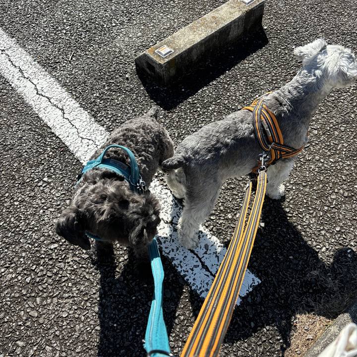 E1034406 d4d3 4a74 964d c02d980d3e8e 1709944828814