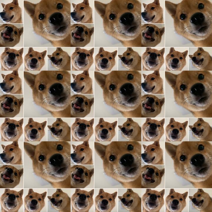 E1038174 47e4 4b27 b446 09793372350e 1597983721566
