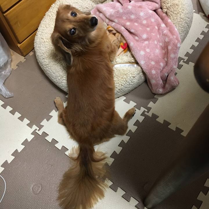 E1039660 3c25 4176 a03a a81f64d788e4 1608555484342