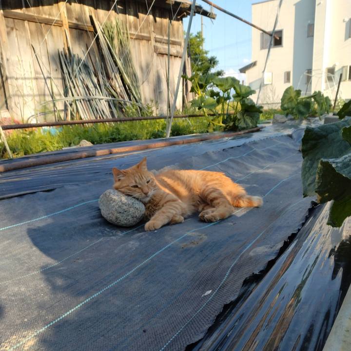 E1040254 644b 4326 98cd 6bf6f1584d7f 1718359977679