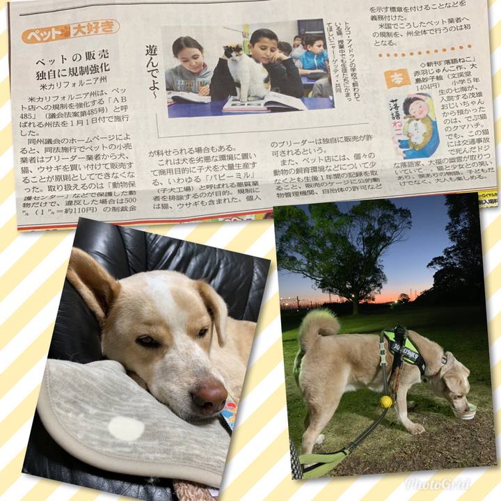 E104196d 7a84 45df 8c36 1bd178fbeeb5 1547889827389