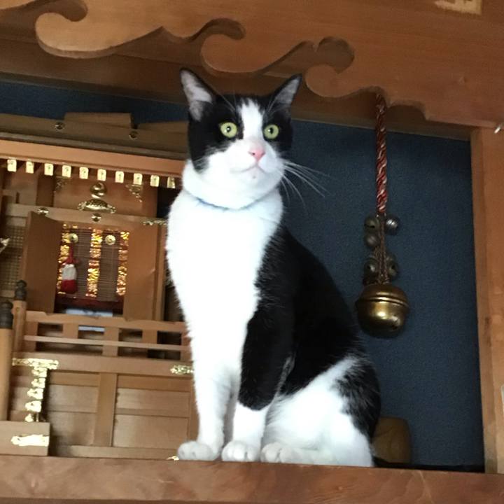 E1043090 1cfb 4481 9f33 341acd05ac87 1757060858736