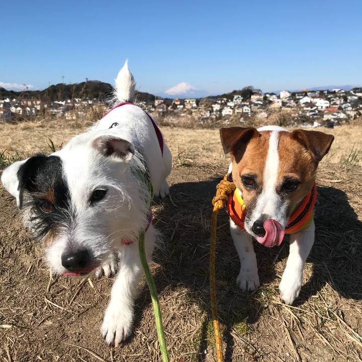 E10430ff 22a3 4dfe 9e12 145fd9ecdc6e 1518484954881