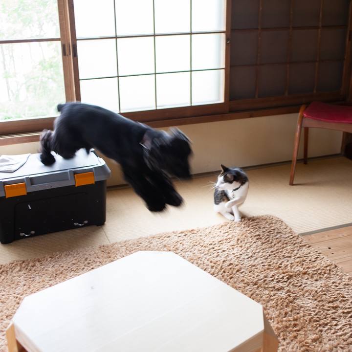 E10478d9 752f 4216 867a 8bfdc4698671 1603894710672