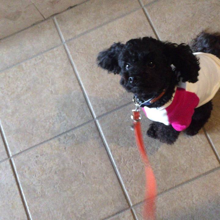 E1049a3e 6f48 4316 9441 9cebd061dace 1525919813986