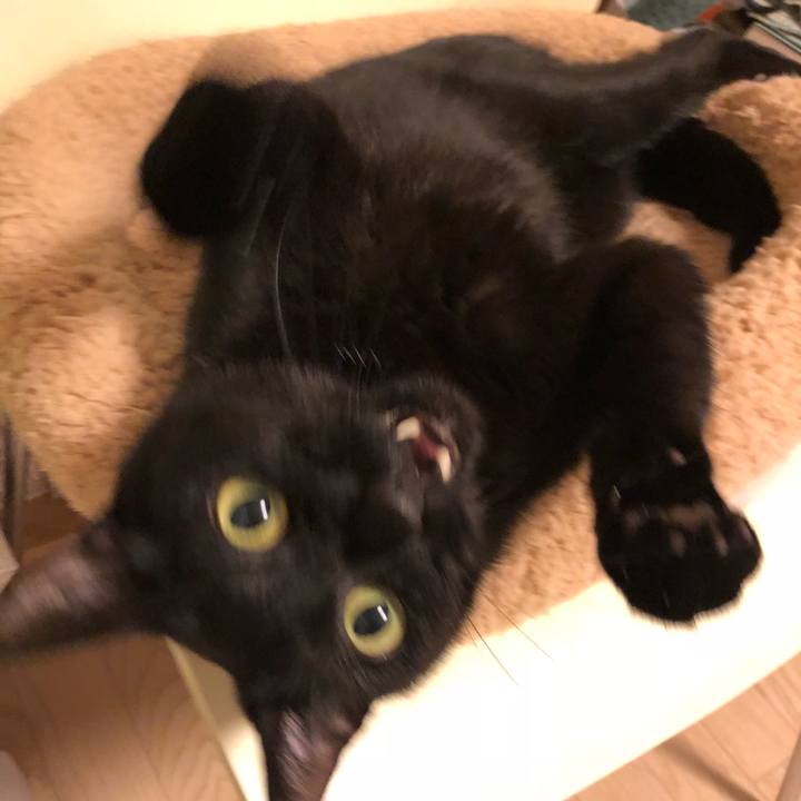 E104b29b 25ff 4110 baec 96f24a8a067d 1539601633638