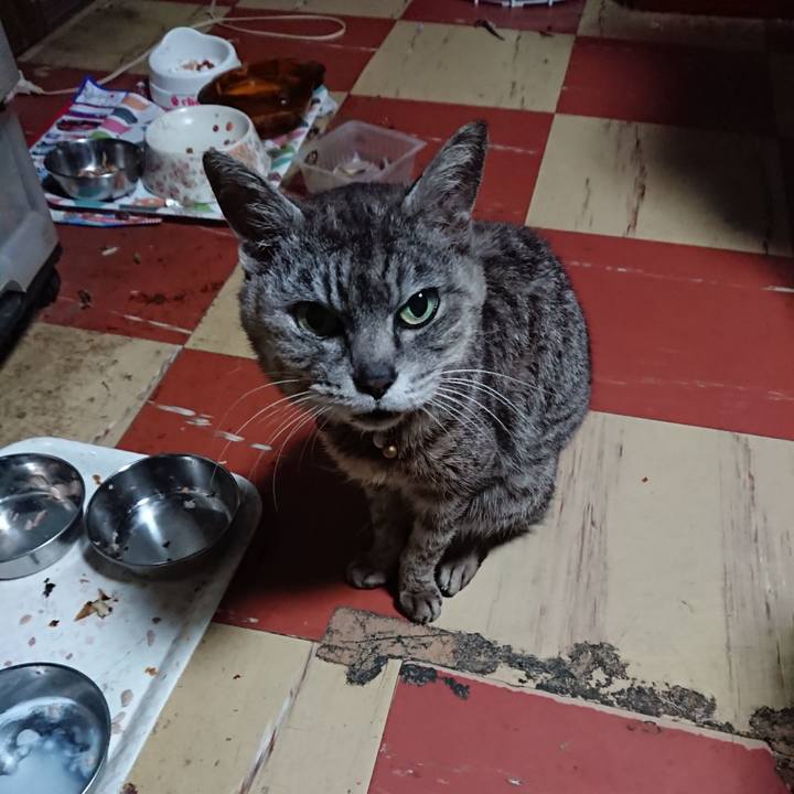 E104d386 4154 4f39 95d1 e094720249b3 1594324546955