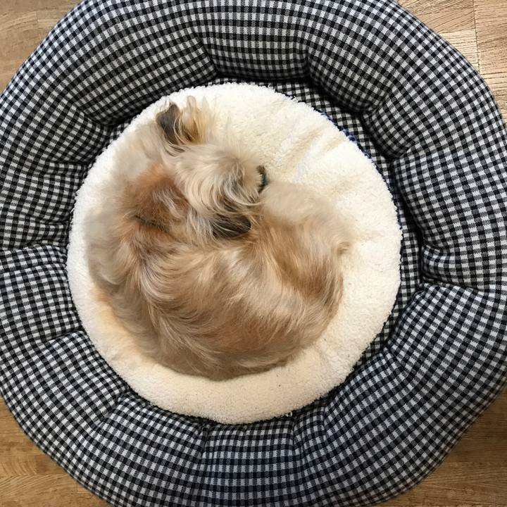 E1053b20 0846 409b a903 463f3d22bf41 1520556789017