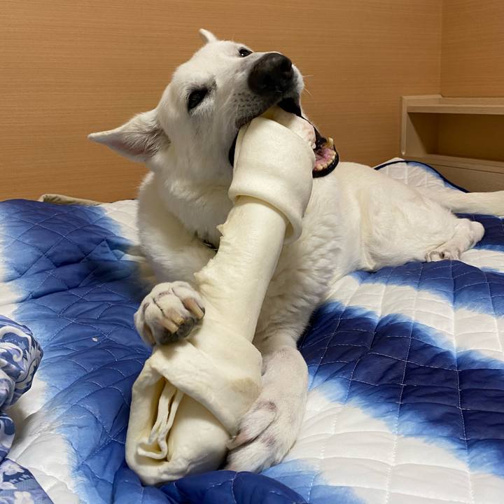 E1053c78 365b 4e6c b381 1a906cc60e52 1638589485938