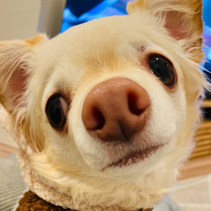 E1053ca8 0c21 4cd0 b013 42eb6e190937 1702651597535