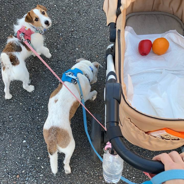 E1053e45 b7bc 4362 ac62 4423664b6884 1730673860811