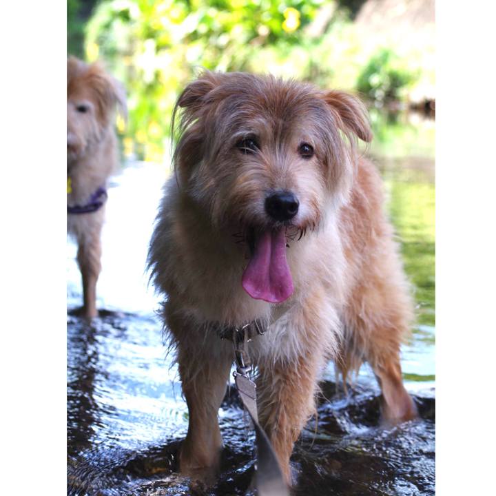 E10575b9 4717 4b2f a189 5e460902194d 1567953197557