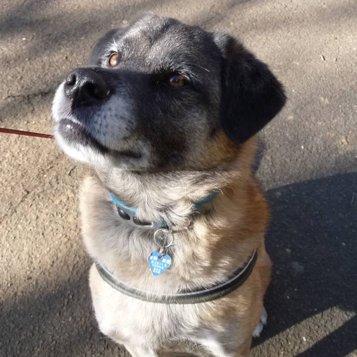 E1057df9 32f1 404e 8a8a 11e62aea9932 1578610686656