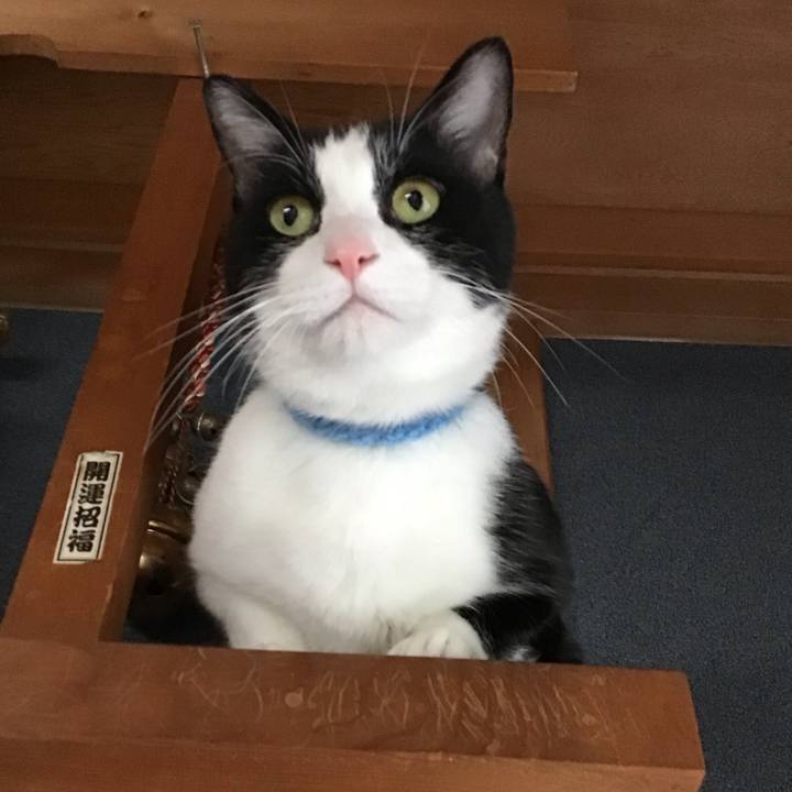 E105aaf5 17db 41c9 b4f4 bb3f7fb2e6ad 1762324668703