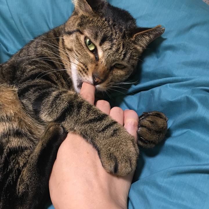 E105b57e bd31 415c 867e 8a34ffacf073 1547029536305