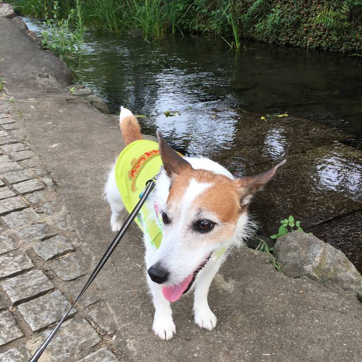 E105c17a faf4 4a62 872f 23e82b6fc4d2 1658621505837