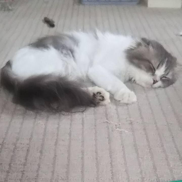 E105e161 c0ce 46a2 82d5 c7ea4df111c8 1625120637112