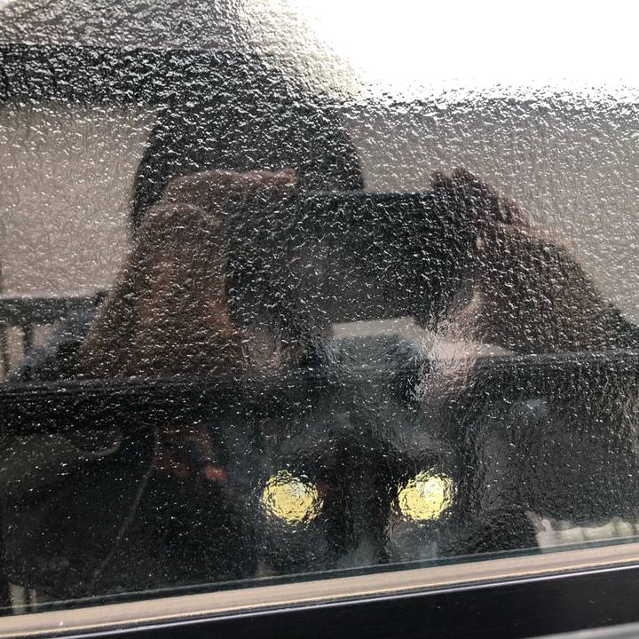 E106090b 134a 4bcc 8aff d2c1fd0141c1 1616627950822