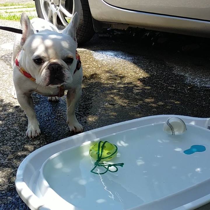 E106133c 0860 41bf 9227 9085ddbb74db 1658974659729