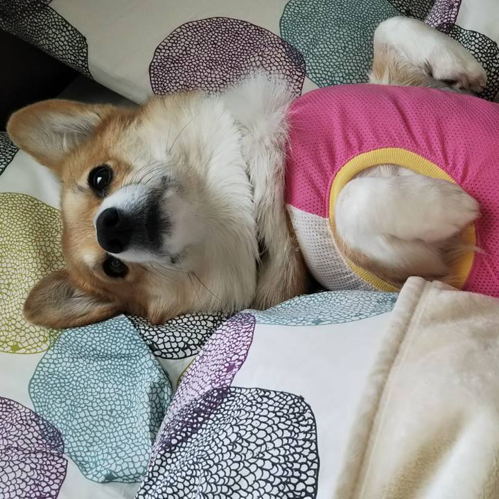 E106137b 09c3 4a3e 9b0c 541cb464800d 1546307025164