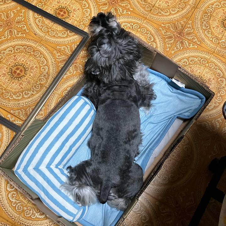 E1063a60 32c8 413a 8fa1 44ead01ed61f 1718199401766