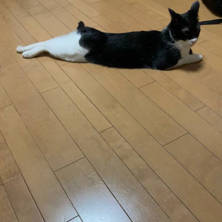 E106484a f781 4dad b6e0 b602da1dee37 1621260643608