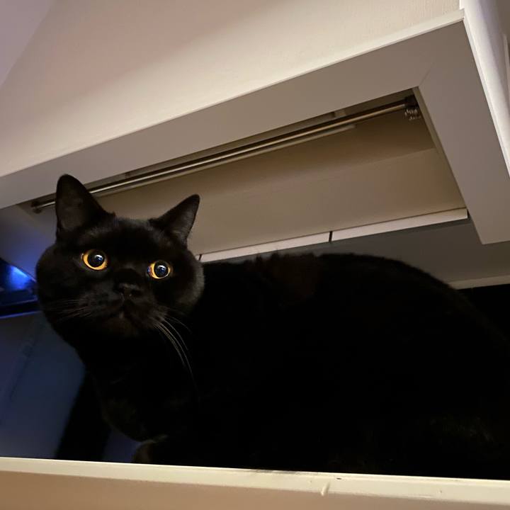 E106cf37 34aa 4f8d 9942 475687da4168 1646832011797