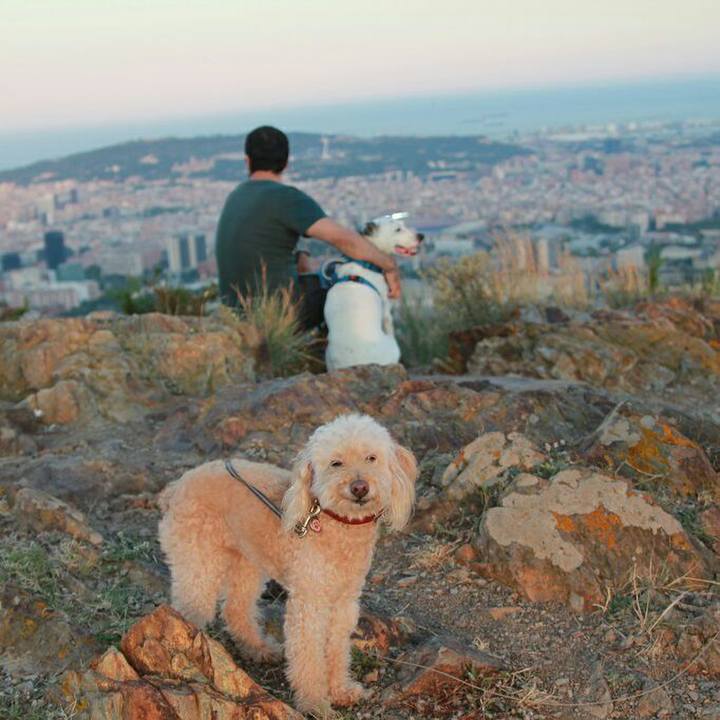 E1071ef3 89ce 4803 ba01 311dbe9eff40 1592984355622