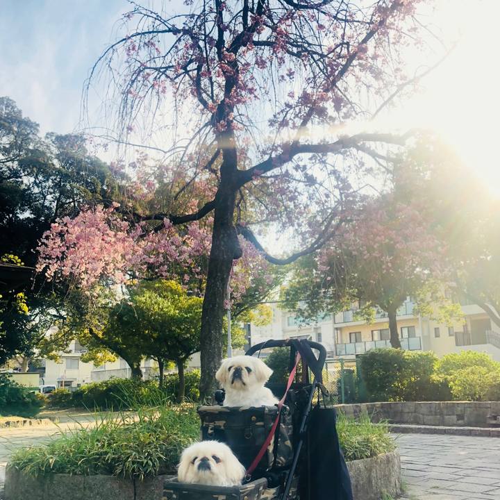 E10761b6 53a1 42ef 9c1f df358ab160cd 1554468875721