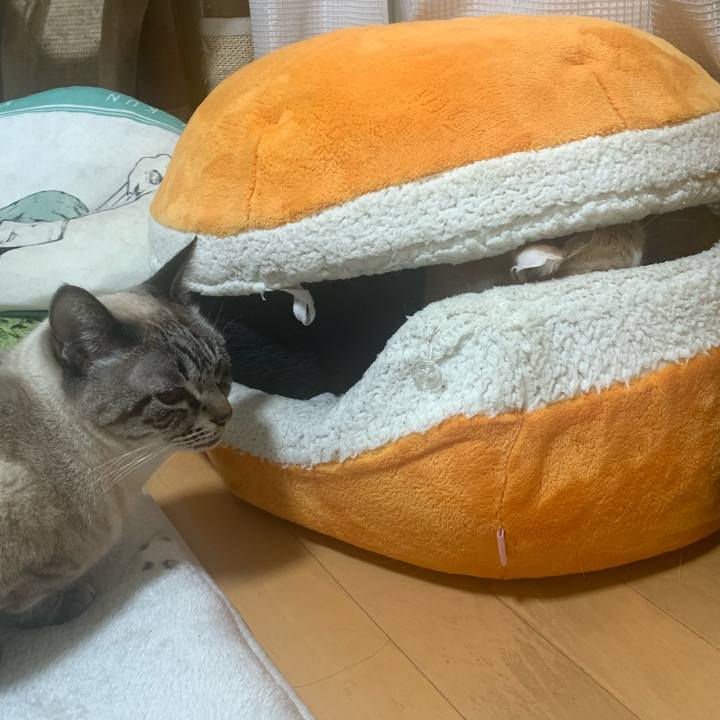 E107a127 c35d 4fd1 8e64 00e1653b8281 1770511445986