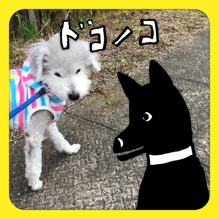 E107ba26 b5dd 4149 a62a 01851449ca4e 1622863309611