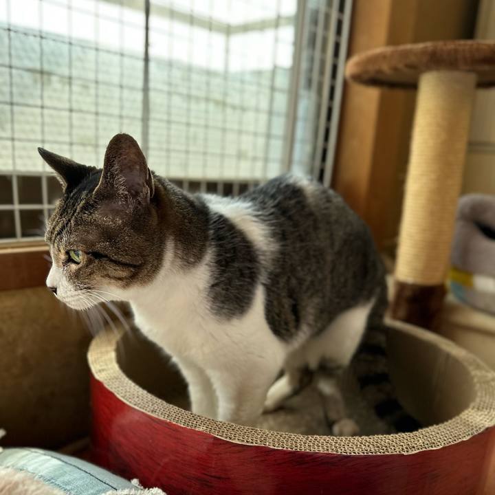 E107cad8 6552 4180 be97 fc0cc65c97d5 1678586978902