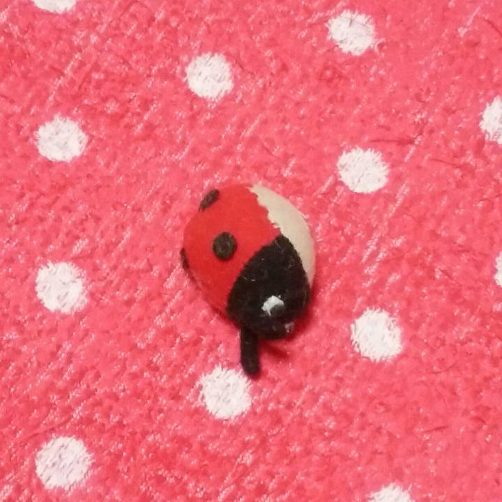 E107ead7 8c99 449a 9f76 6757b529ba9b 1542362067526