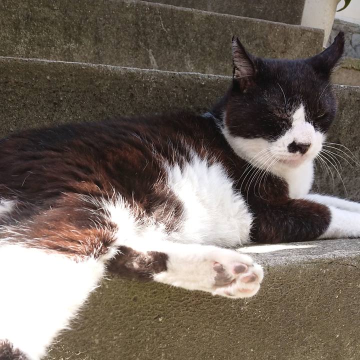 E107ff7d 0bab 489e 8110 34dc2984dffc 1691458372491