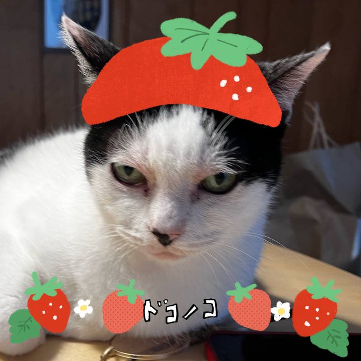 E108105d 00d4 4d09 8eef 29a0193863cb 1775190388696