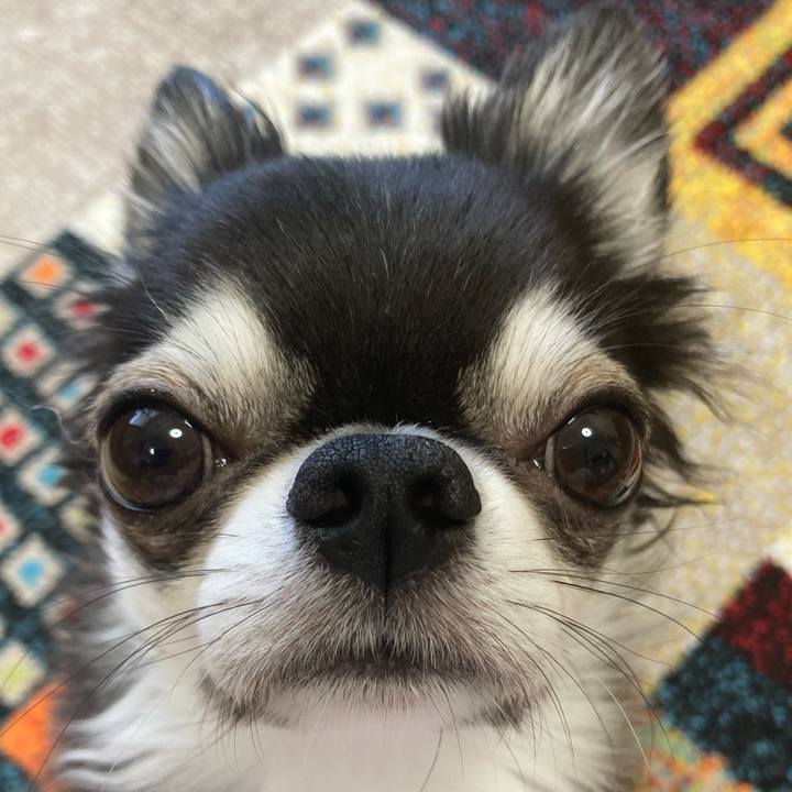 E108341b 1e44 4072 b856 d0592e9356d0 1692049395543