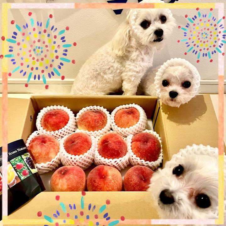 E1084e1b 374c 4950 a9d2 58570db01b41 1657508465381