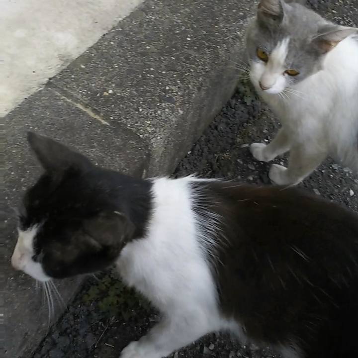 E10870e4 c1de 4a0a 954b c15c4188ac74 1530954693528