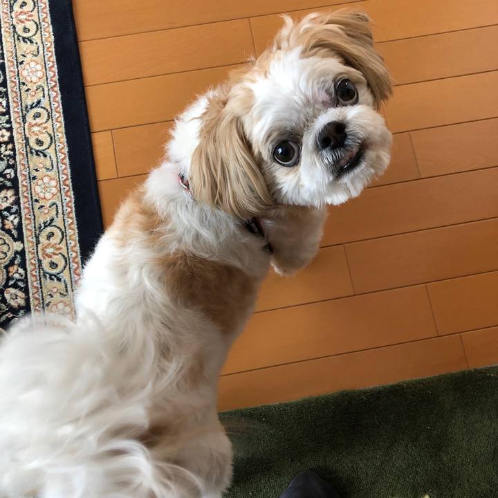 E10880f9 2eb1 452e 9d7a 299ffd1f55bf 1561067148462