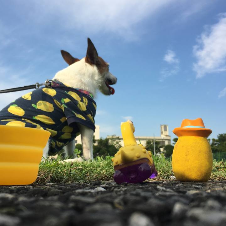 E1088176 c6e8 436d 84c1 7a2b52cf571f 1625962593395