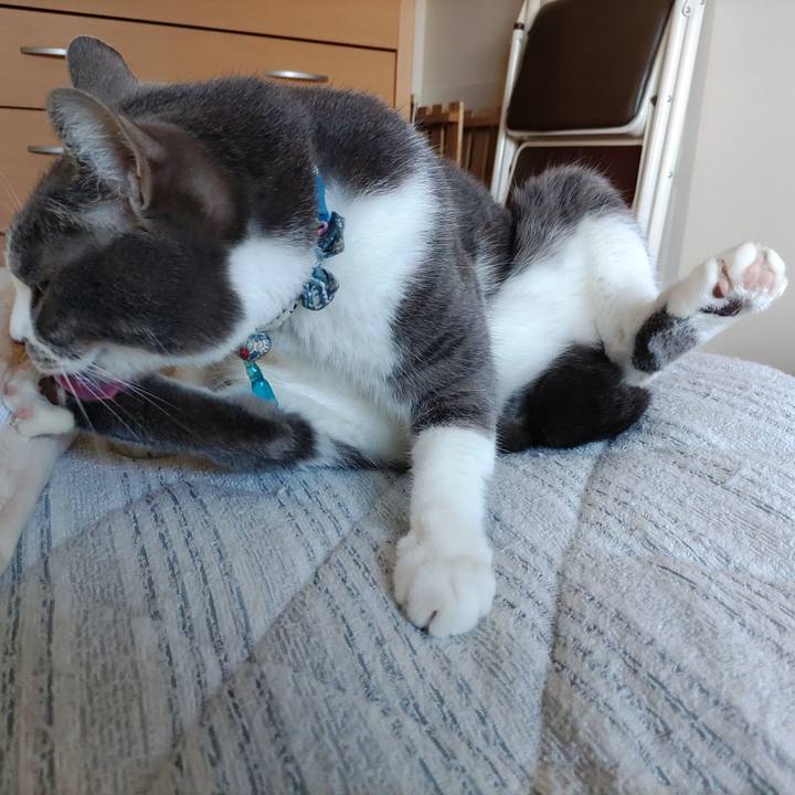 E108b05f 1083 4f0e 8ccc 5bd49cdde9b9 1714611862784