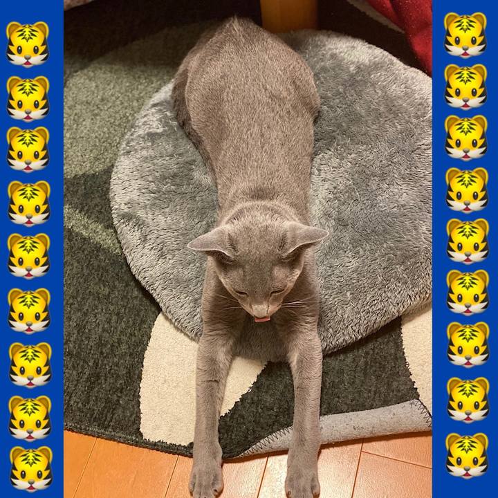 E108d6f2 88fb 4eef 9368 58ffe98eed6c 1619657165570