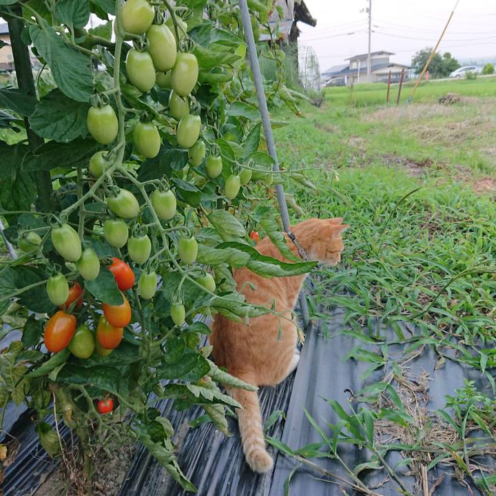 E1091b5d e536 4eaa ab62 7df1a638f50c 1596534644181