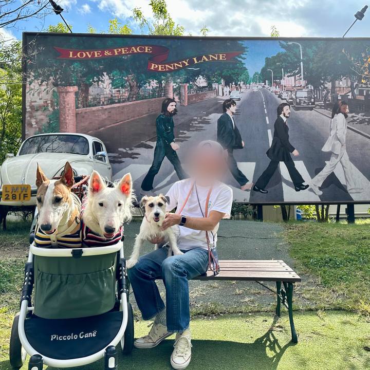 E1094fe5 7993 4dbc adff fd01a566e824 1697675196485