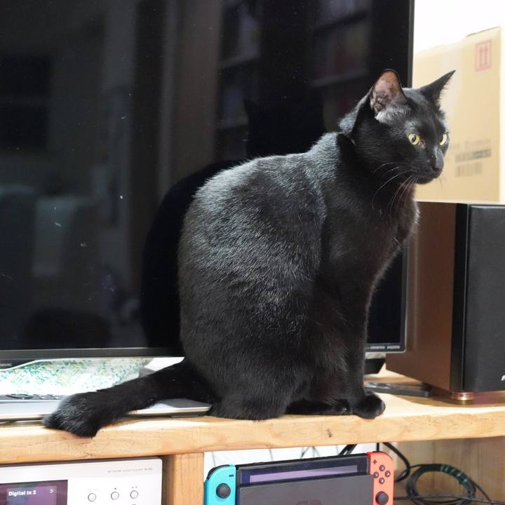 E109561f c872 4ec1 977d 4b5254737977 1580341530639