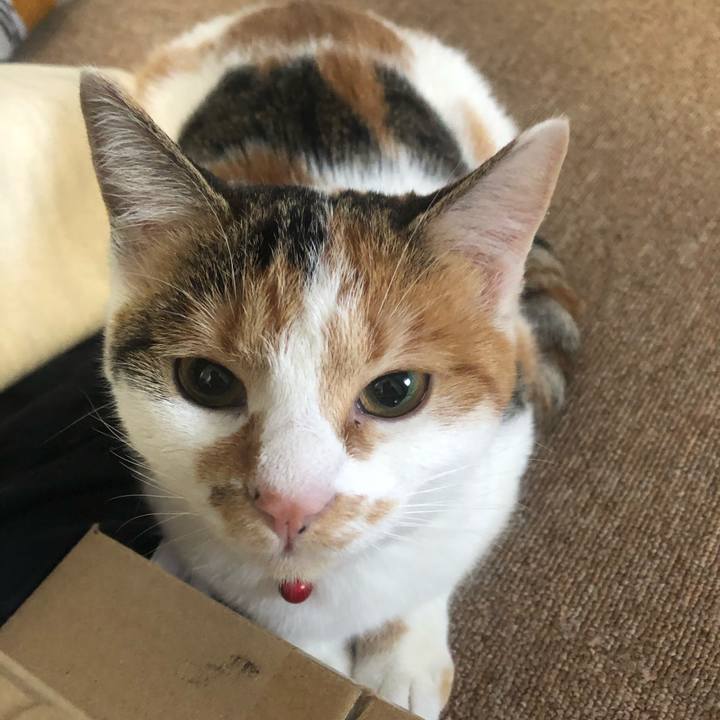 E1097777 653a 4bb8 9513 00744cab507a 1576020752191